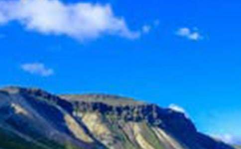 ����ķ羰��������