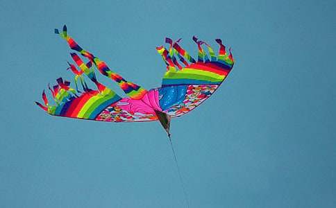 ���ڷ��ݽ��ֳ���