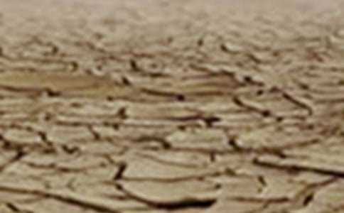 ������λ�Į���͸ɺ��յ���������