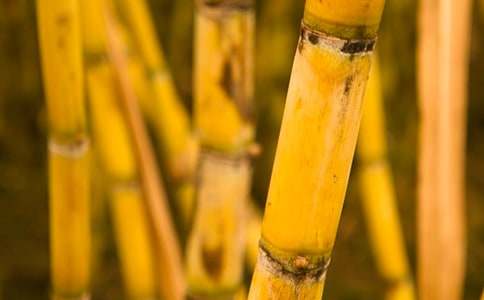 ����˵ĸ�������600���������꼶