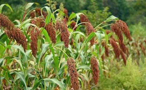 ���꼶�����ϡ������顷��ѧ����뷴˼