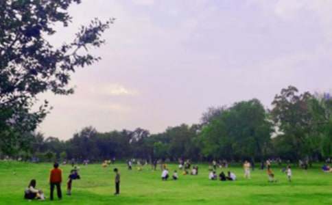 ��԰��ȫ����