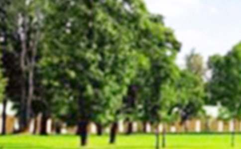 �������ı�����԰������̰����