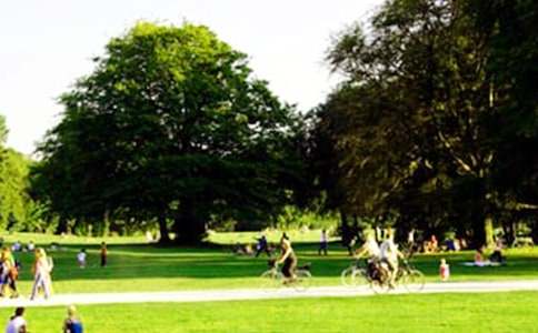 ʵ�õĹ�԰���꼶���Ľ���ʮƪ