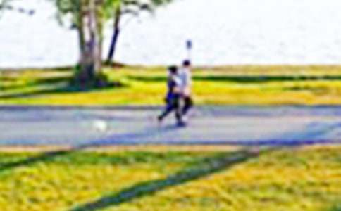 ���������Ĵ�԰���ģ�ͨ��83ƪ��