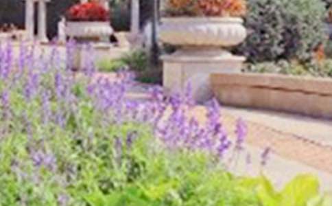 ����������22�Ρ������ı�����԰���̰�