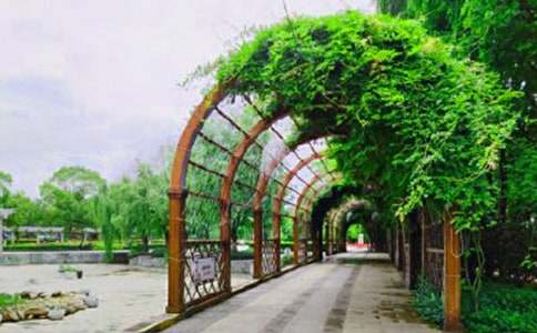 Сѧ���꼶��԰���ġ�����64ƪ��