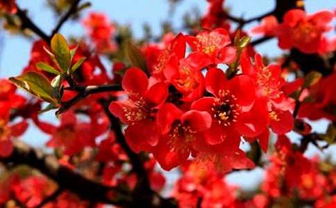 ���㺣�ľ���