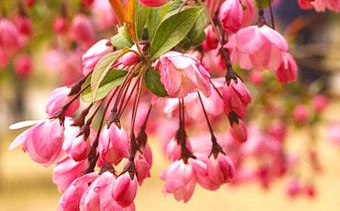 ���Ƽ��������㺣�ġ��ۺ��