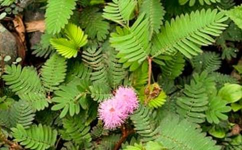 ���߲�����400��