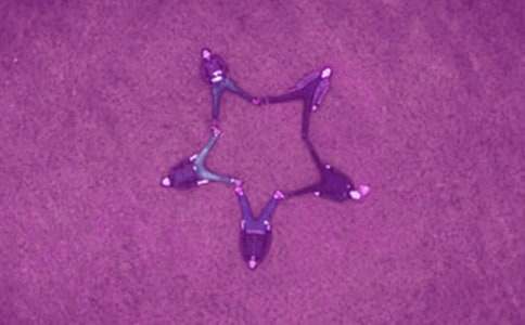 ���ڸ����ѿռ���������ط����Ե���������