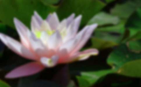 �ɻ�����200��