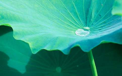 ����ҶԲԲ����ѧ���15ƪ