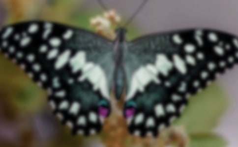 ���꼶���ġ�̨��ĺ����ȡ��̰�