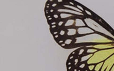 ��̨������ȡ���ѧ���