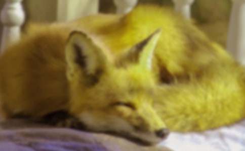 ���������ѻ����ѧ��ƣ�ͨ��12ƪ��