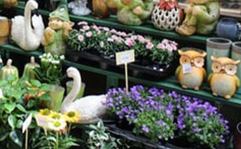 520�����߻�����