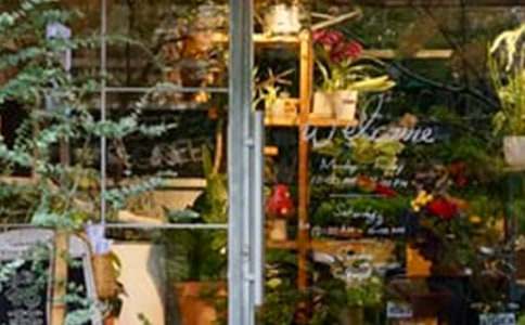 �ʻ���Ĵ��������