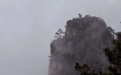 ���꼶�ϲ��ɽ��ʯ�κ�ϰ��