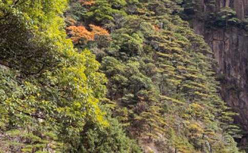 �̿ư����ϡ���ɽ�ɡ��̰�