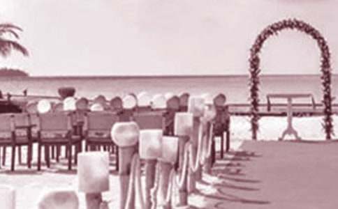 �з����׻��񽲻�������