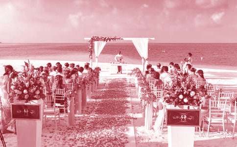 ���ɸ��׻����´�����(15ƪ)