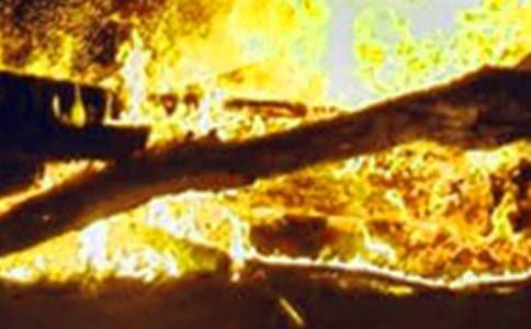 2016�䰮����Զ���������