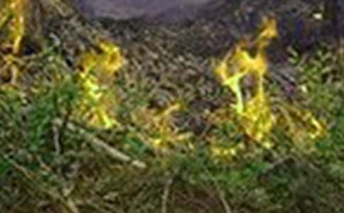 2016���ڿ�չ���������ַ��ع�������