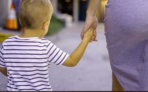 �������Ǽҳ����ľ�ѡ