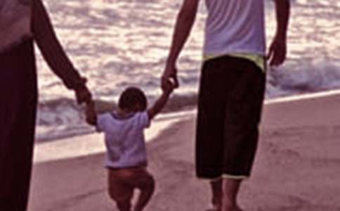 ��ͥ�������£����������������������