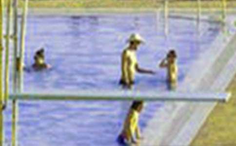 ���ڳ�������