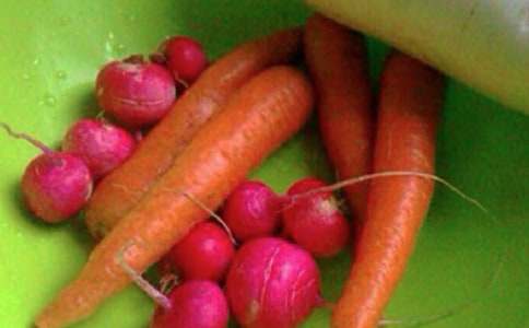 �������������ڰ屨ͼƬ