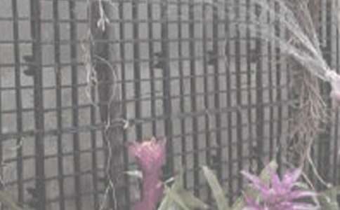 ���꼶����ռǣ�����