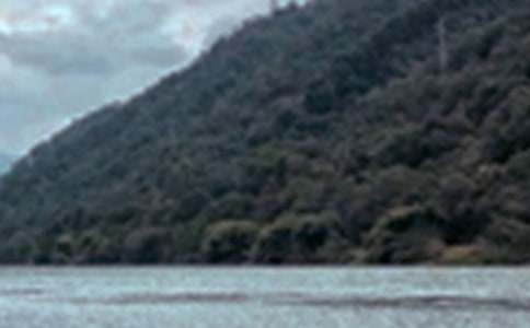 ��ɫ���꼶����