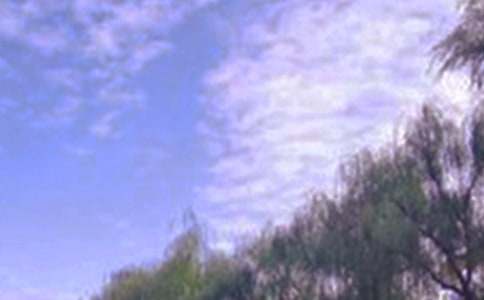 ���꼶��徰ɫ����