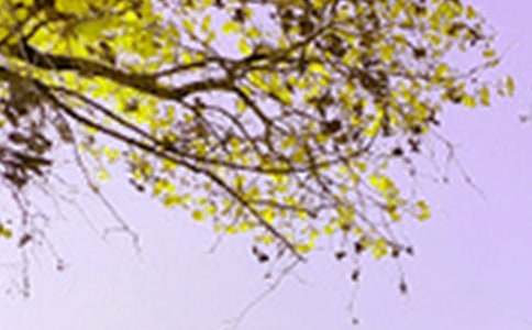 �й����꼶��д��ɫ�����ļ���ʮƪ