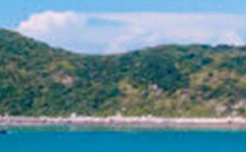 ��д�ļ���ɫ�Ĺ�ʫ�����㣩