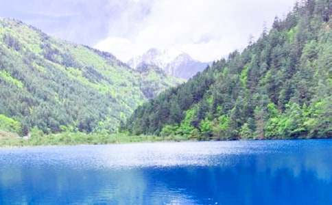 五年级课文《九寨沟》教案