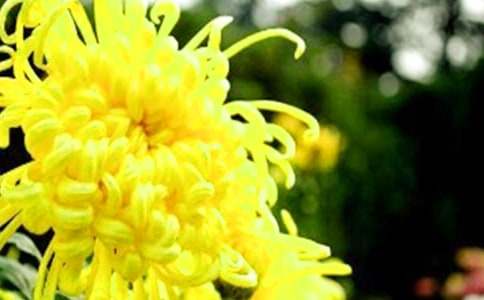 ���꼶�ջ�������