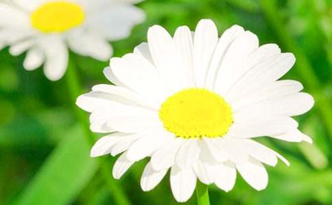 ������д�ջ����������꼶