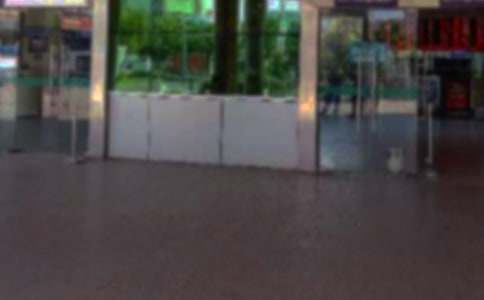 2017�����վ���˹����ܽ�