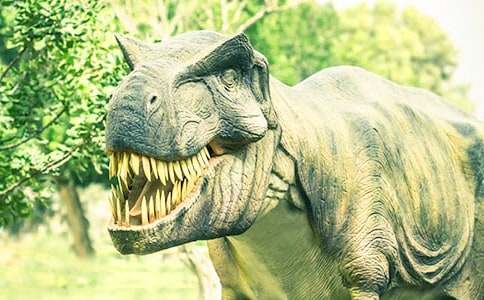 д��������һ�������꼶