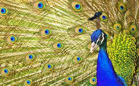 ����ȸ���Ϸɡ���ѧ���(�˽̰��һ�²���޶�)