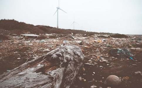 ��������ʳƷ������