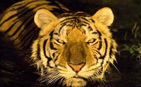 �����ϻ�����ľ���