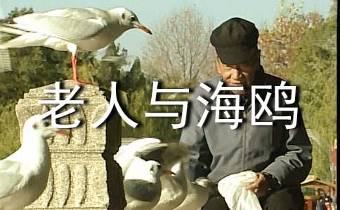 ���꼶���ġ������뺣Ÿ����ѧ��˼