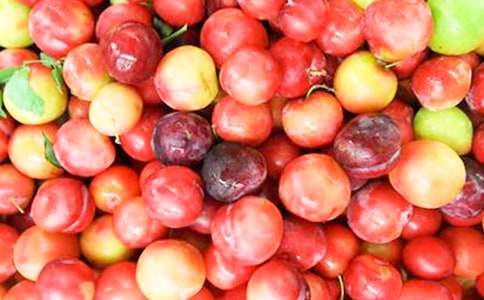 һ�꼶�²ᡶ���Ӻˡ���ѧ���