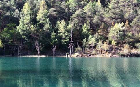 �������º�̫������