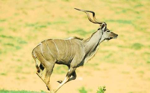 ���̰�����19���������ݡ���ѧ���