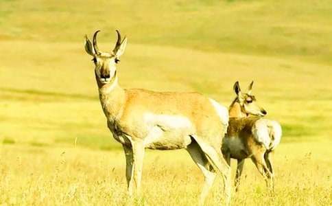 ���꼶�ϡ�������Ĺ��¡��̰�